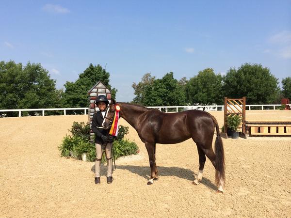 showcaseequest's tweet photo. Hallie and Sophie's charm reserve champ in KY http://t.co/kb829Lb5jW