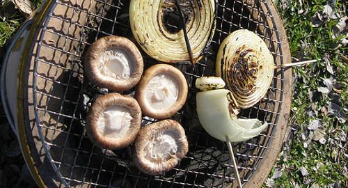 内沼きのこ園