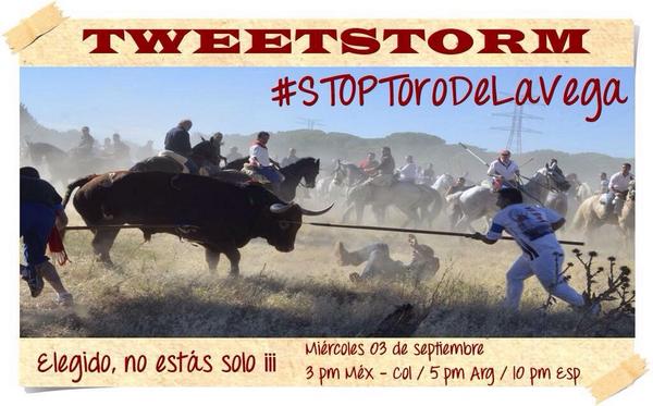 Dani Mateo 🤘🏼 tweet media