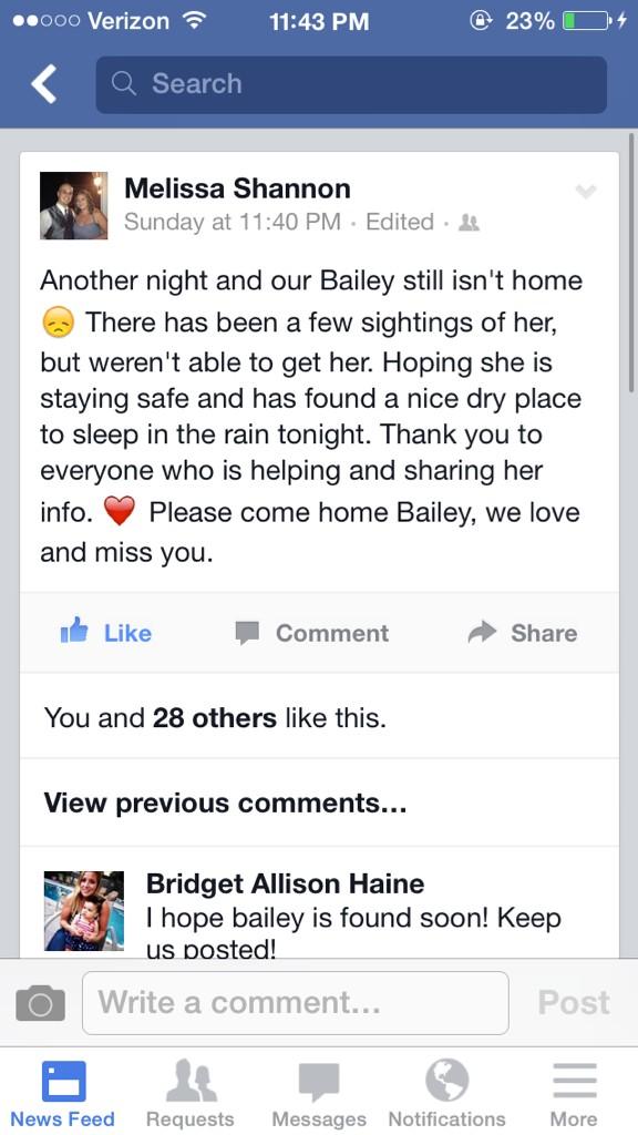 rdallegro's tweet photo. #helpfindbailey ❤️❤️ http://t.co/Va6orCRiHW