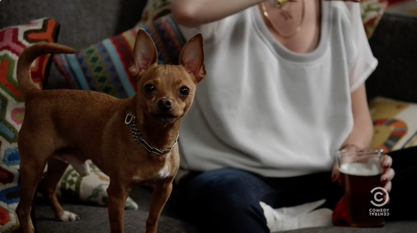 omg this first ladies episode of drunk history was the best ever and it had the greatest dog cameo so far 😂
