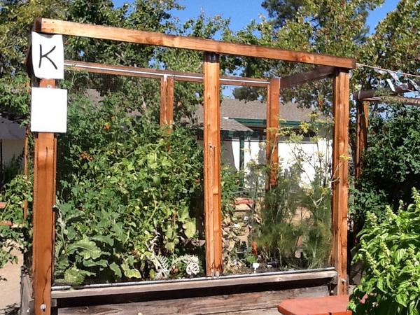Team8Tweets's tweet photo. Our school garden. This is the kindergarten planter box.  We will harvest it on September 19. http://t.co/kjPM7OeqYd