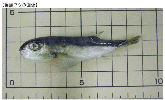 注意喚起 横浜のスーパーでアジに毒性フグが混入 消費者庁がリコール呼びかける Togetter