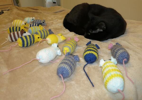 RT <a href="/K_A_Graves/">Kathryn Graves</a>: <a href="/Letsknitmag/">Let's Knit</a> This is George with mice I knitted for the wonderful <a href="/CPChiltern/">Chiltern CP</a>. It's a great pattern!