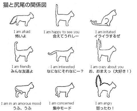 ツイッターで話題の画像 Omoro Tweet Twitter