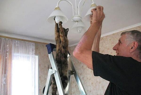 İnsan Gibi Davranan Sevimli Hayvan :))
