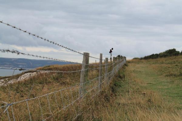 You can't get much better than walks on the island 
#isleofwight #walks#photography #beauty #nature #photography