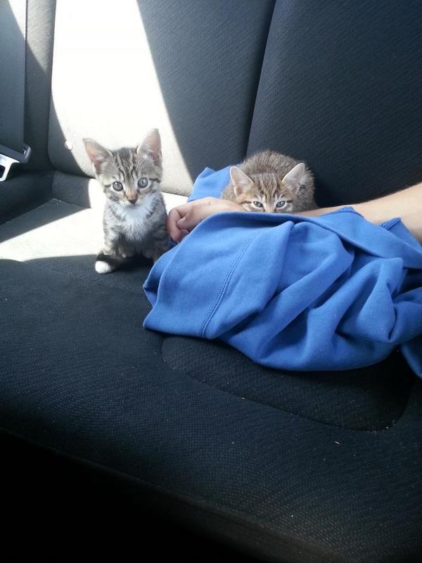 ipodwojniak's tweet photo. I cant wait to see my babies today c: @willwillis5 http://t.co/mrErxITMk2