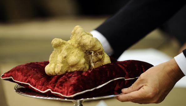 FulvioBiagioli's tweet photo. #beautifulfarmhouse with #swimmingpool and #truffleland for the #whitetruffle "#ficusficus." http://t.co/aZZm6qmXlg http://t.co/neash2zo4j