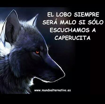 ivanburgoss's tweet photo. El lobo.... http://t.co/kG8COmHd0X