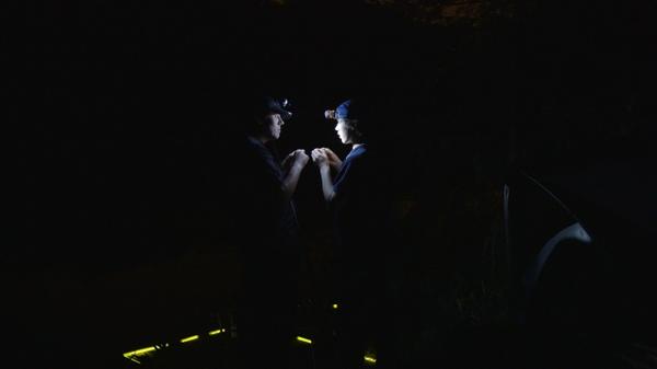 claire levy tweet media