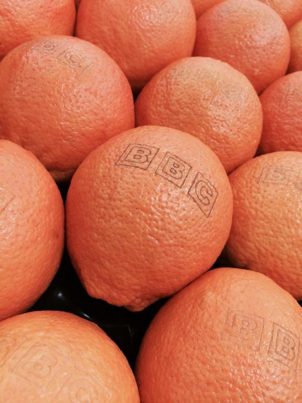 BBCClick's tweet photo. Why one supermarket is starting to tattoo its fruit with lasers http://t.co/aVWU58hPK3 http://t.co/9AiwH7TV5z