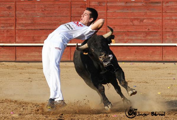 JAVITOTURBO's tweet photo. ESPECTACULAR IMAGEN DE @javifuentesauco EN VILLALPANDO EN EL CONCURSO DE @toropasion http://t.co/ONxdcxPr1b