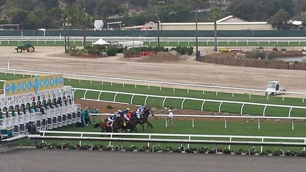 DeclanSuites's tweet image. It's closing day at the Del Mar Racetrack! #dmtc #delmarraces #closingday #discoverdeclan #declansuites