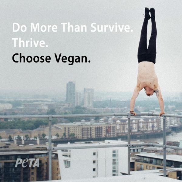 PETA UK on Twitter "Living proof of how a vegan diet helps you stay