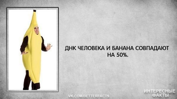 днк банана и человека совпадают. днк банана и человека совпадают. днк банана совпадает. шутки про банан. днк банана и человека совпадают на 50.