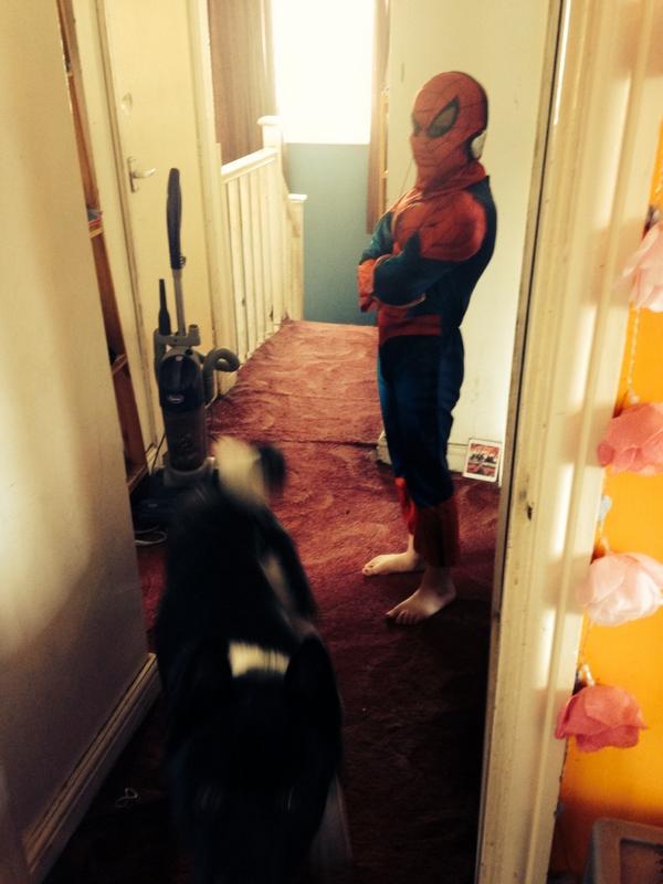 MissJadeClarke's tweet photo. http://t.co/3wOOFv4dz8