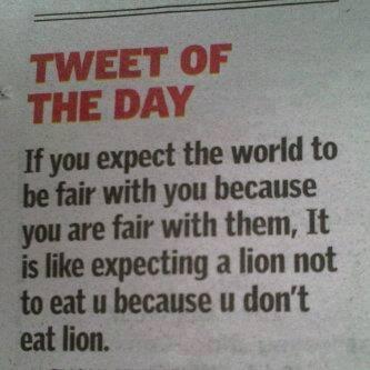 CSUCougarCopy's tweet image. 