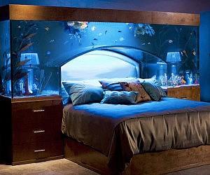 MDK_Realtors's tweet photo. Sleeping in the Waters... What do you think of this Aquarium Bed? http://t.co/p6dmXy5KI1