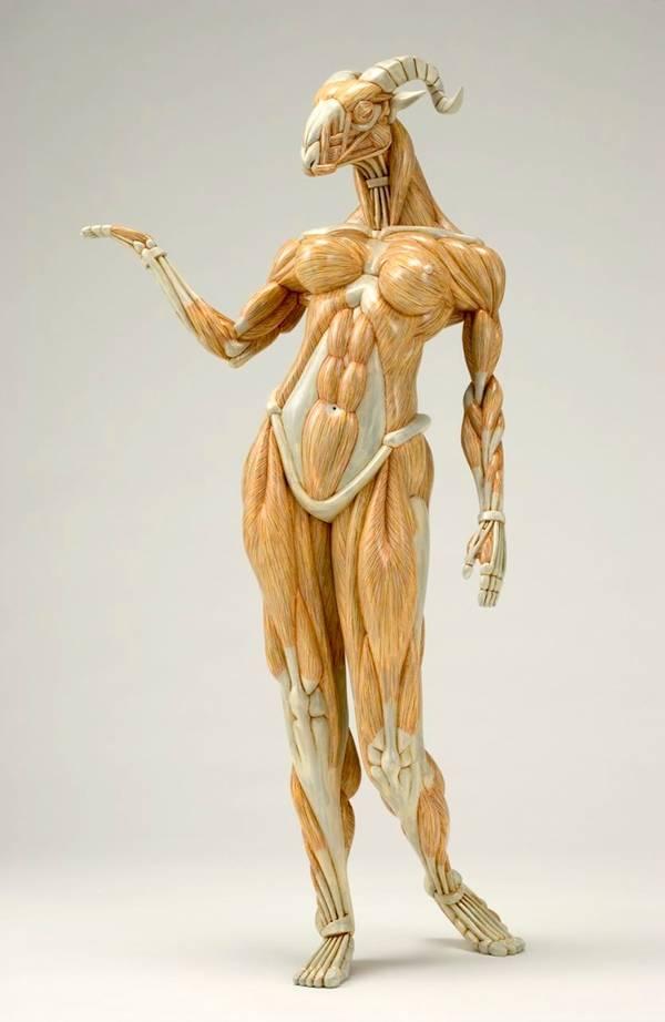 髙林 賢 En Twitter Elkherts うわぁこれは強そ ｏoｏ 架空の生き物の筋肉模型アート 日本の彫刻家 木下雅雄さんの作品 象っぽいのはガネーシャかな Wー Http T Co Onpasrslfo 無学では作れない作品だなぁ