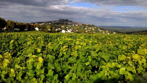 Sancerre....a very special place indeed! @JLVacheron @CHonorez @H2Vin #Loire #DomaineVacheron #amustvisit