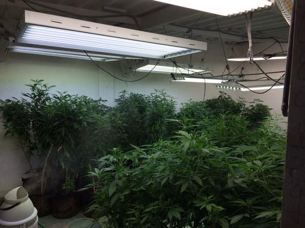 2/3 Logrando detención ciudadanos Luivir Romero (27) ex PNB y Joan de Sousa (27), incautando un revolver calibre .38