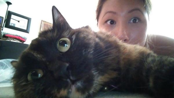 celinemeilingm1's tweet photo. Today calls for the crazy eyes http://t.co/lmag5MV7Cj