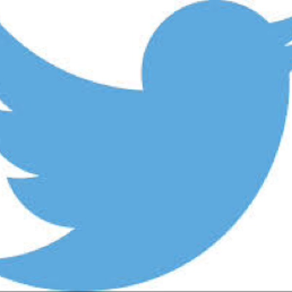 glassslipperc's tweet photo. The little blue bird :D @twitter #YappemLove http://t.co/hURUEhCpYt http://t.co/HUQl4yaTVz