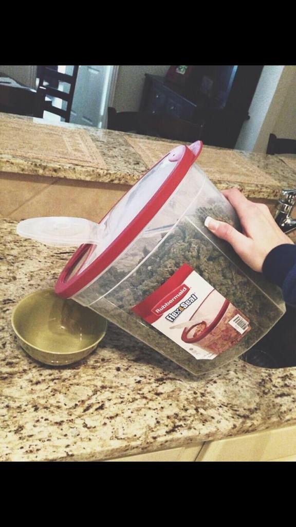 PotTweeter's tweet image. Breakfast.