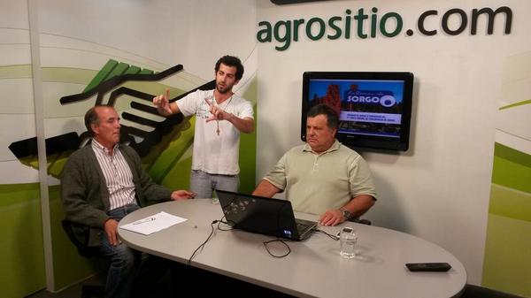 HablemosdeSorgo's tweet image. Ya estamos saliendo en vivo con @galmassio en @HablemosdeSorgo por @agrositio hablando sobre Manejo de #Sorgo