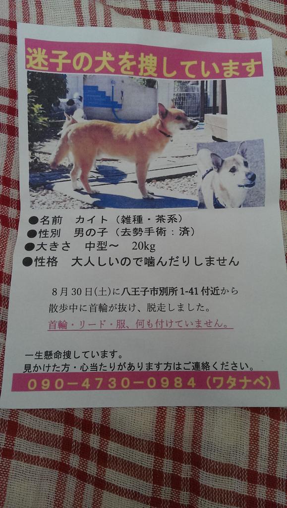 モデル体型になりたい Moderuninaritai Twitter