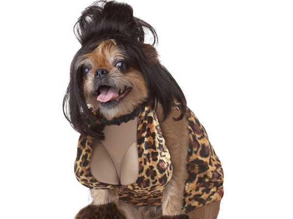 reneezimmer (@rennee_canada) on Twitter photo 