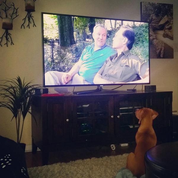 petermwallace's tweet photo. She really loves the scene about Reine #LaReineBlanche #thewhitequeen #musculature #tobetakei #ohmy @GeorgeTakei http://t.co/SRQnVvn3pM