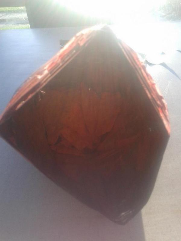 MALDoesMinecraf's tweet photo. Dem dorito's doooop http://t.co/zqDSLfeWrT