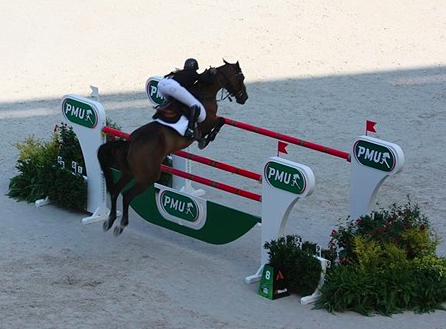 2kGrey's tweet photo. @DaniStarwyn jumping at Alltech World Equestrians Games in @2kGrey Avatar #breeches Looking awesome @EquestrianGames http://t.co/Z8UbI2t4h9