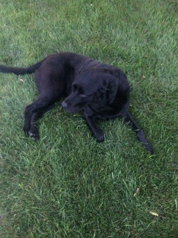Enjoying the outdoors