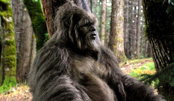 _iComplain_'s tweet image. mood: ugly