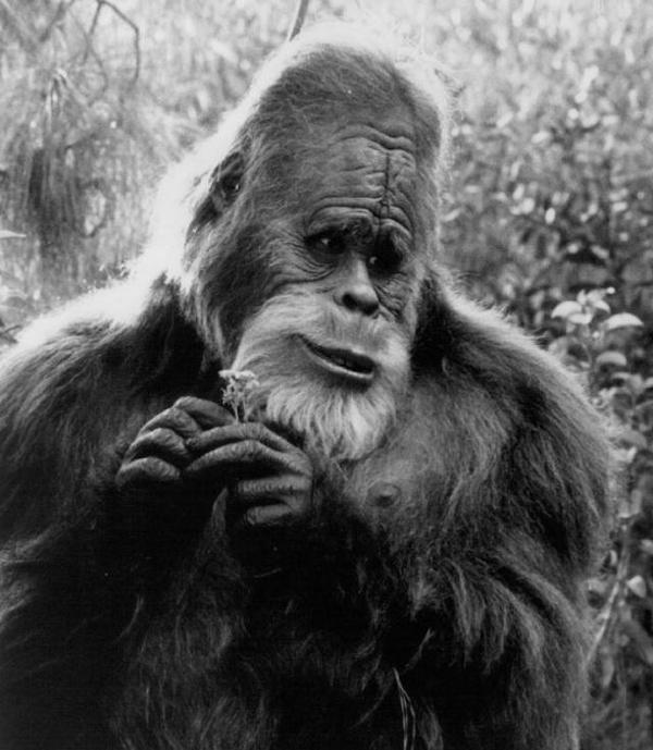 _iComplain_'s tweet image. Someone be a wee gem and bring me a Mc Donalds breakfast. Thanks