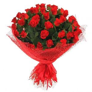  Happy Birthday! Wishing you all the best on your special day!Have fun! Cheers! 
