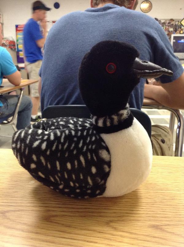 44birdman's tweet photo. @TChap_21 @bgpaintrain #MonroeKnows http://t.co/CquVq2w1Qz