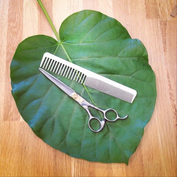 ウンベラーダもちょっぴりカット♪