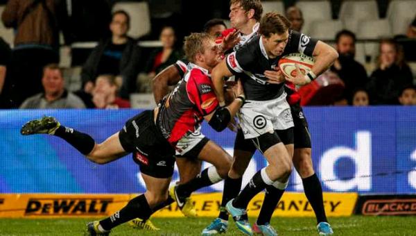 Cell c sharks tweet media