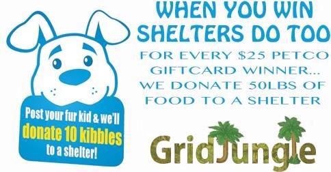 GridJungle's tweet photo. Your photo is worth a thousand words, and 10 kibbles. Find out how photos feed shelter pets at http://t.co/ao0rfud0vu http://t.co/KxYgUohAzs