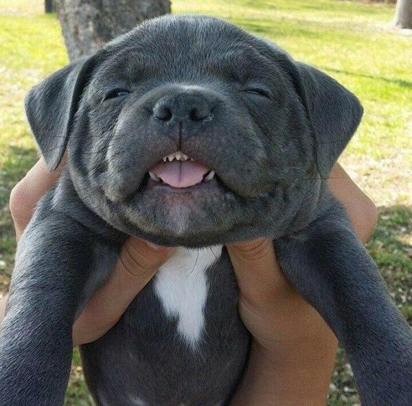 StumblerVideos's tweet photo. When bae tickles you http://t.co/GiiSpRQ51U