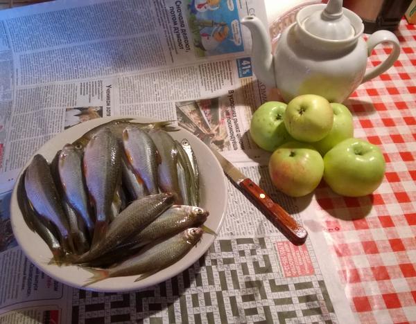 Just_Spring's tweet image. Мой сегодняшний скромный улов, чай с мелиссой и яблоки из заброшенного соседского сада.