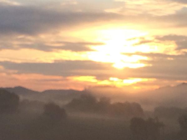 Psalms 118. Start your day with a prayer.