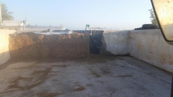 KlopMarius's tweet photo. Couple more days of cs in this bunk then on to the next looks like a 3/4 yr buffer #fermentedfeed #ontag #consistant http://t.co/y4coFjwmb1