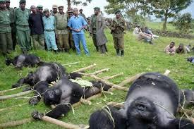 Willy Yakam tweet media