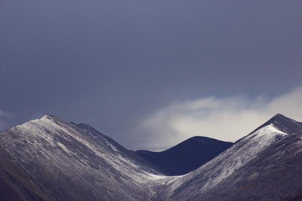 Cash Tsui tweet media