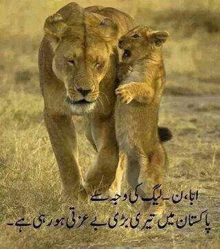 129Musman tweet picture